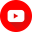 Tiktok Icon